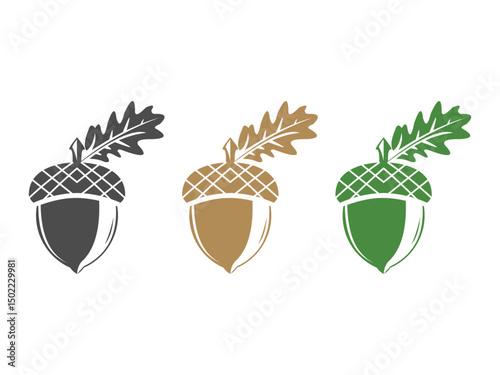 acorn branch logo, oak symbol, vector, isolated on transparent background