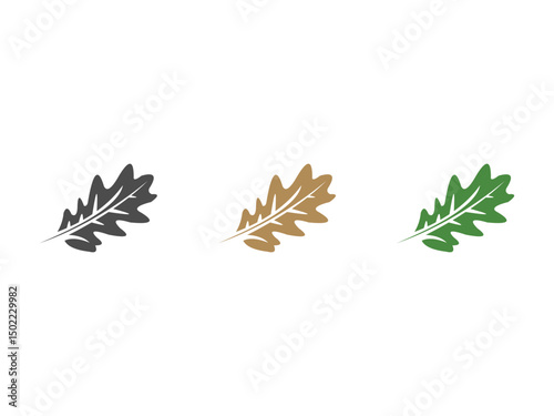 acorn leaf logo, oak symbol, vector, isolated on transparent background