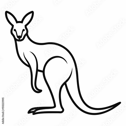 kangaroo vector illustration