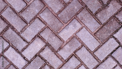 Top view, close-up of a gray herringbone cobblestone sidewalk. The uniform pattern of rectangular paving bricks creates a strong geometric backdrop.