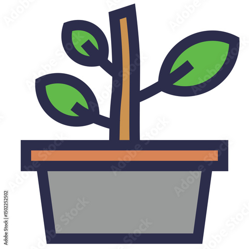 Potted House Plant