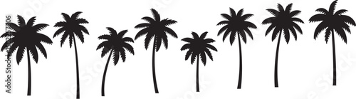 Silhouettes of Tropical Palm Trees against a White Background