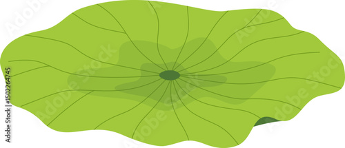 Green Lotus Leaf Pad