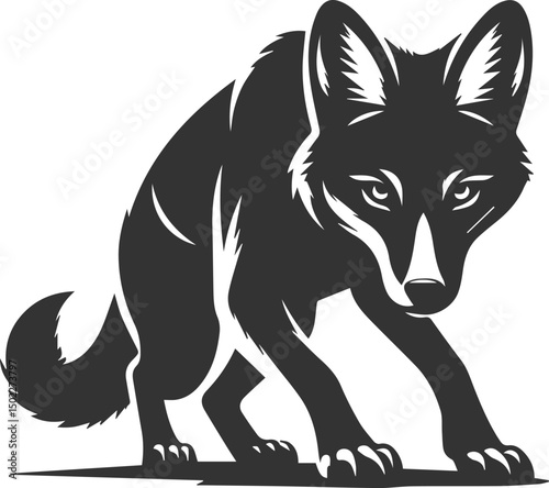 Artwork animal drawing silhouette of a jackal vector