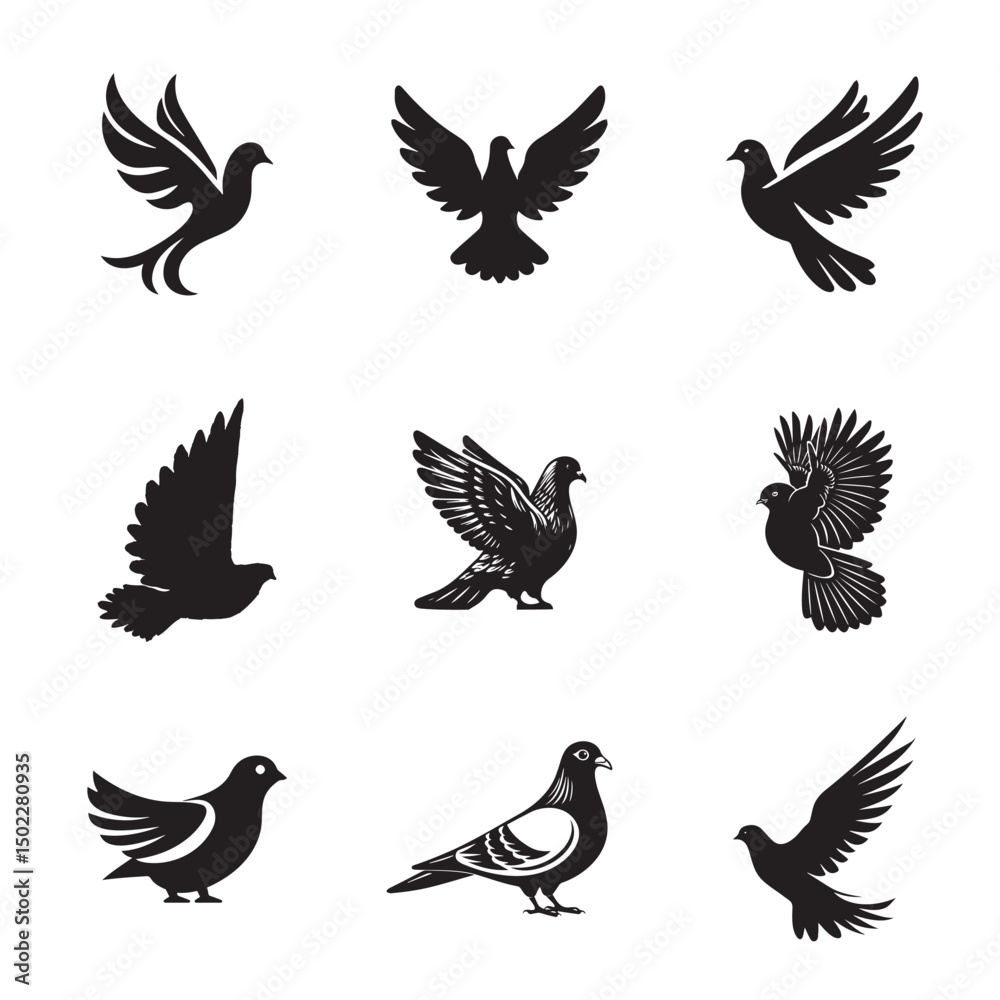 Obraz premium Black and white pigeon shutter stock 16