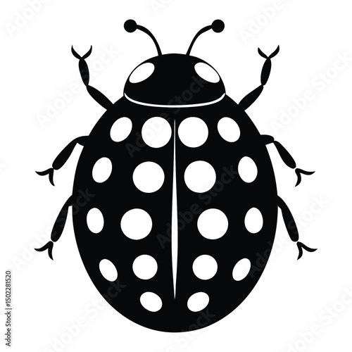 A charming ladybug, delicately detailed in black and white, showcasing simple elegance and symbolic purity