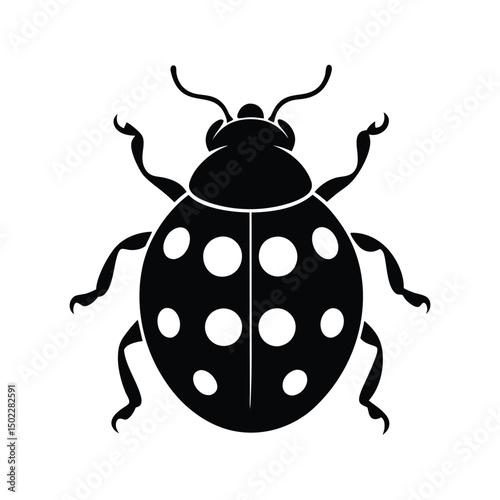 A charming ladybug, delicately detailed in black and white, showcasing simple elegance and symbolic purity