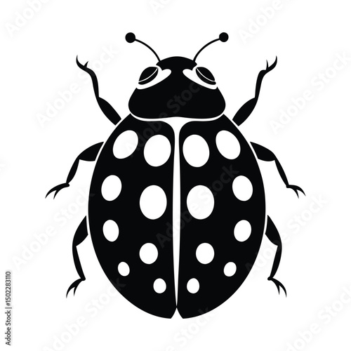 A charming ladybug, delicately detailed in black and white, showcasing simple elegance and symbolic purity
