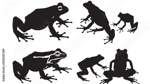 Frogs silhouette isolated in White background