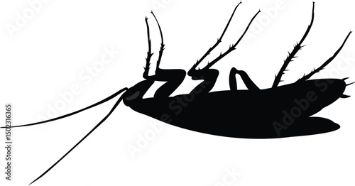 Vector silhouette of a cockroach lying on its back isolated on a white background. Dead cockroach black icon..eps