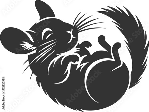 chinchilla rodent artwork vector