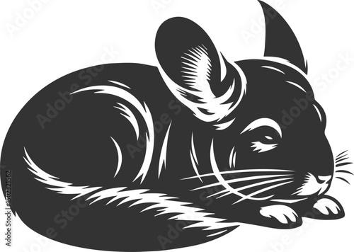 chinchilla rodent artwork vector