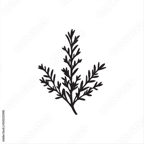 A classic black and white vector logo silhouette of rosemary on a white background.  The style is timeless and elegant, utilizing geometric shapes and clean lines for balance, symmetry, and visual