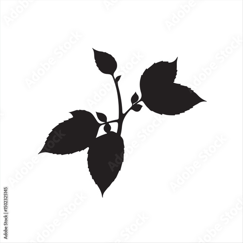 A minimalist black and white vector silhouette of basil leaves on a white background.  The design utilizes a modern flat style, focusing on clean lines and simple shapes for an elegant aesthetic.eps