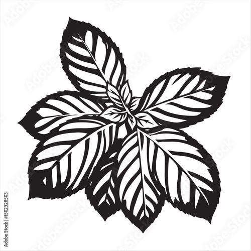 Black and white vector silhouette of basil, designed in a modern flat style.  Simple two-dimensional shapes are set against a pure white background for an elegant effect