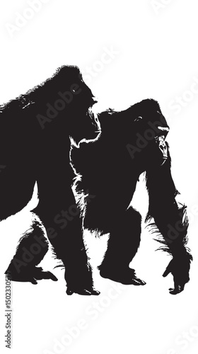 Gorilla silhouette vector illustration isolated in white background