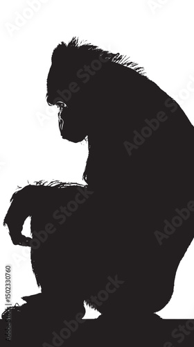 Gorilla silhouette vector illustration isolated in white background