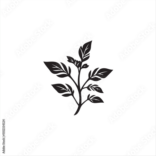 Timeless and elegant black and white vector logo.  Basil silhouette in geometric shapes and clean lines on a white background.  Symmetry and visual clarity are key