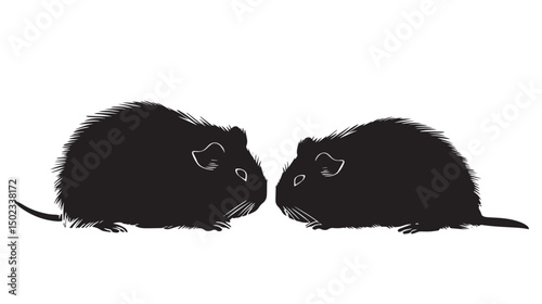 Guinea pigs silhouette isolated in White background