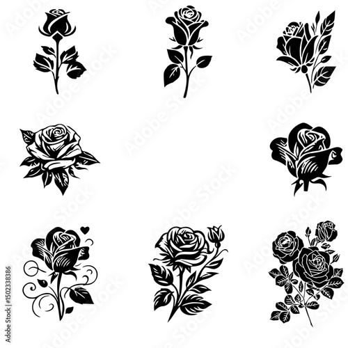Rose  vector image 