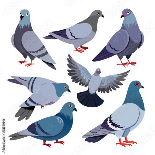 set of pigeons