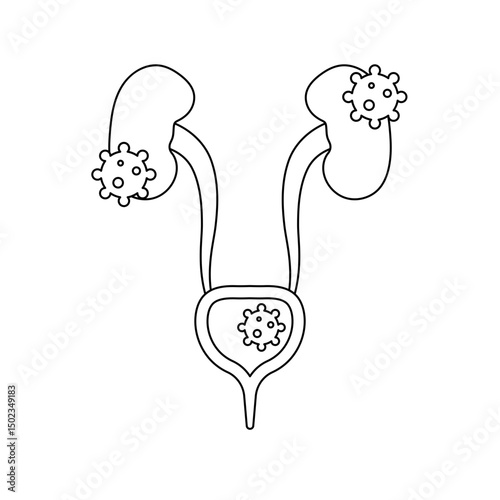 Urinary Tract Infection