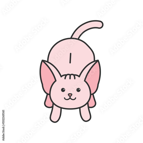 Cute sphynx cat