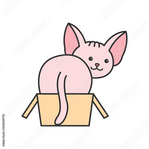 Cute sphynx cat
