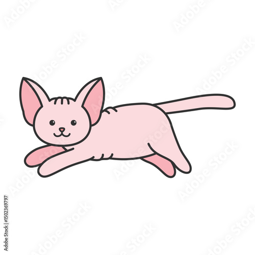 Cute sphynx cat