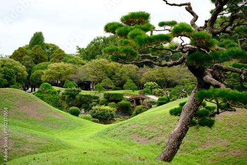 Suizenji Garden Glowing in Fall Foliage photo