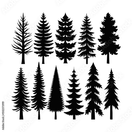 Pine Tree Silhouettes