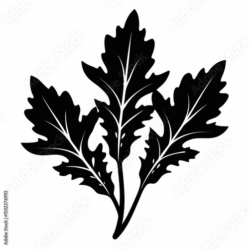 Arugula silhouette vector vegetable black on white background