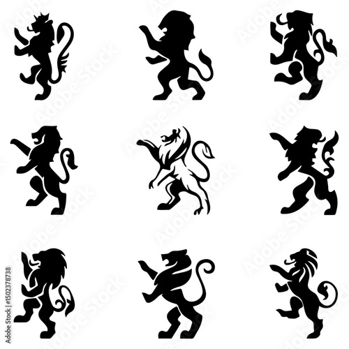 lion  vector image 