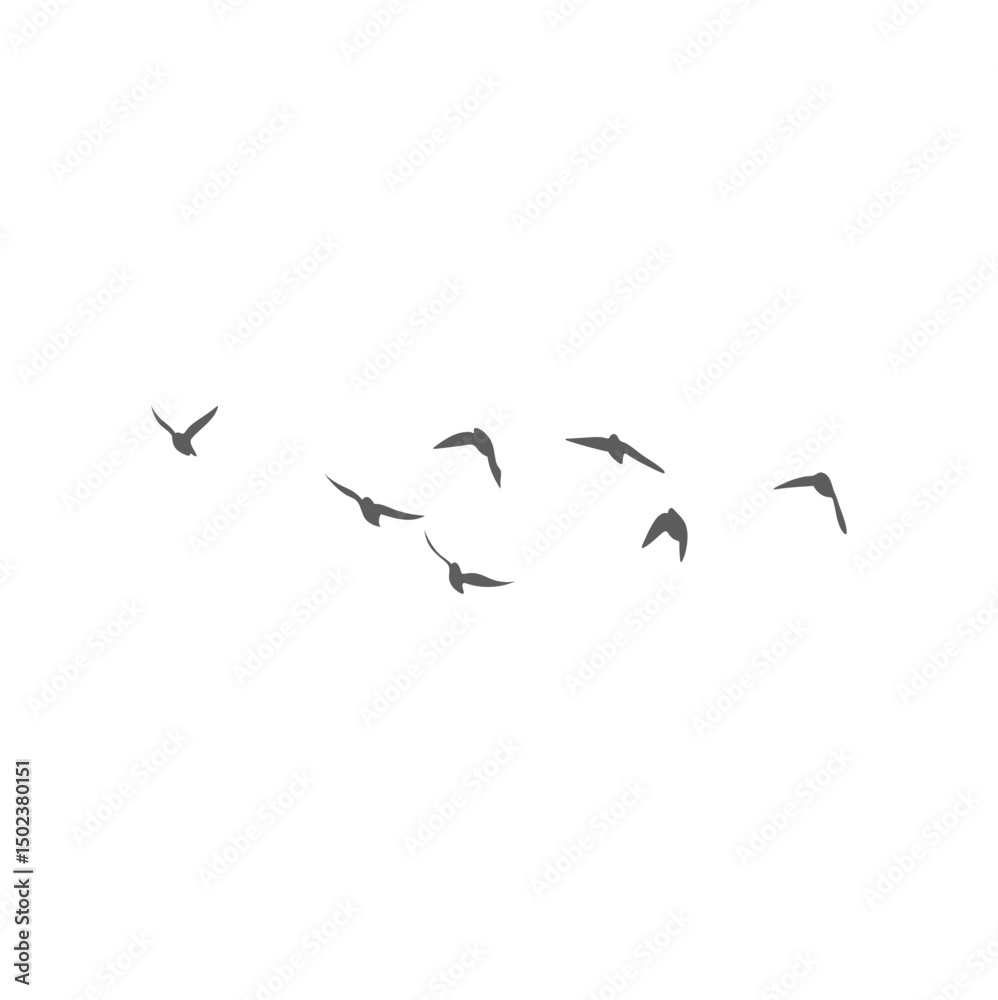 Obraz premium Flying birds silhouettes. Vector illustration 