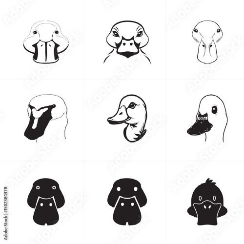 Vector image of a duck's front face.