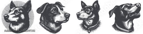 Detailed Engraving of Dogs in Various Styles and Expressions