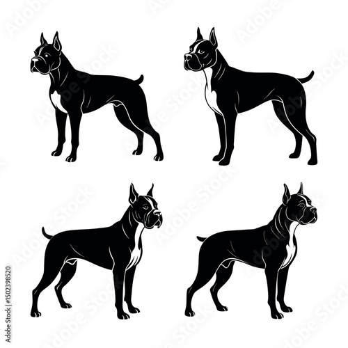 black silhouettes of dogs