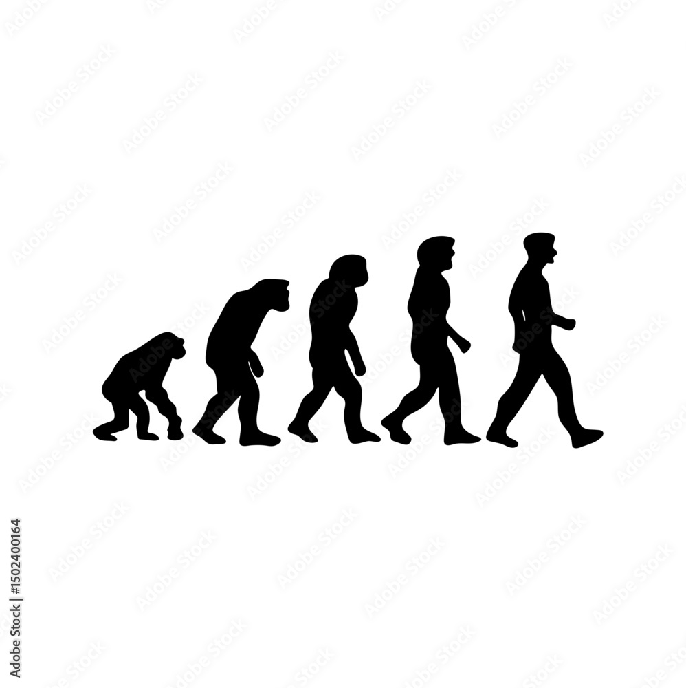 Obraz premium Human evolution silhouette concept. Darwin theory cartoon vector illustration