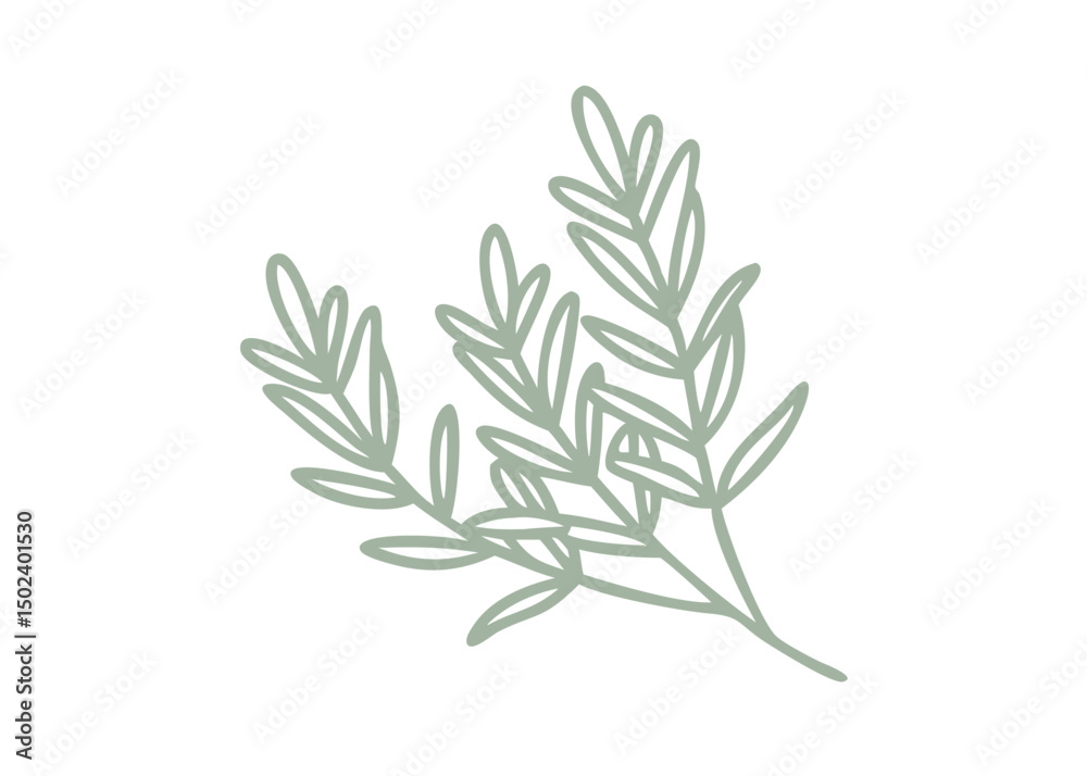 Fototapeta premium Minimalist Bog Rosemary Andromeda Polifolia Illustration