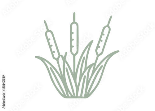 Minimalist Cattail Illustration, Typha Latifolia Icon