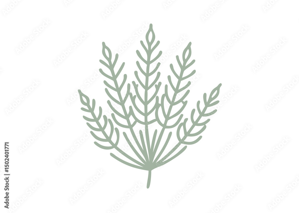 Fototapeta premium Minimalist Horsetail Plant Illustration, Vector