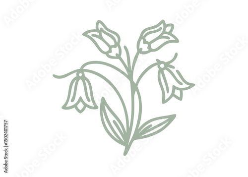 Harebell Flower Line Art Vector Illustration