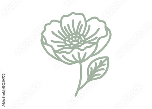 Icelandic Poppy Minimalist Line Art Illustration