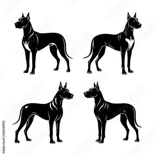 Great Dane Dog Illustration