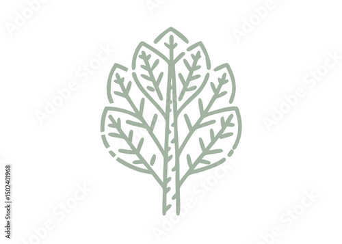 Paper Birch Leaf Minimalist Line Art Icon