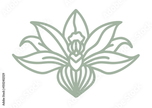 Round-Leaf Orchid Amerorchis Rotundifolia Line Art