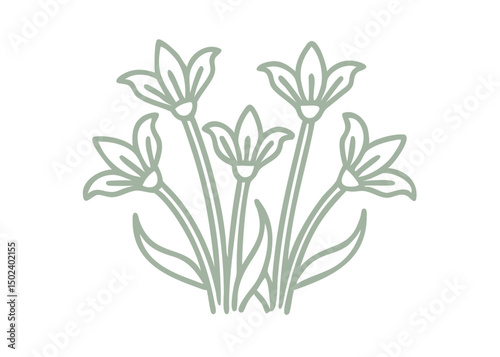 Minimalist Shooting Star Flower Line Art Illustration