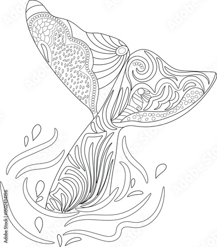 Ornate Dolphin Tail Line Art, Detailed black and white line art illustration featuring an intricately patterned dolphin or whale tail (fluke) emerging from stylized water splashes. The design 