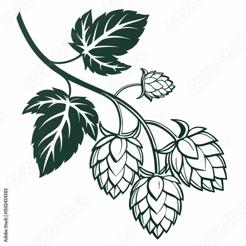 Hop Vector AI Graphic Design File on White Background