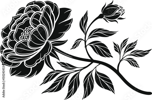 Peony Rose Flower Illustration Design. Hand Drawn Peony Rose Bloom Art. Elegant Peony Rose Botanical Graphic. Peony Rose Floral Outline Design. Artistic Peony Rose Flower Drawing